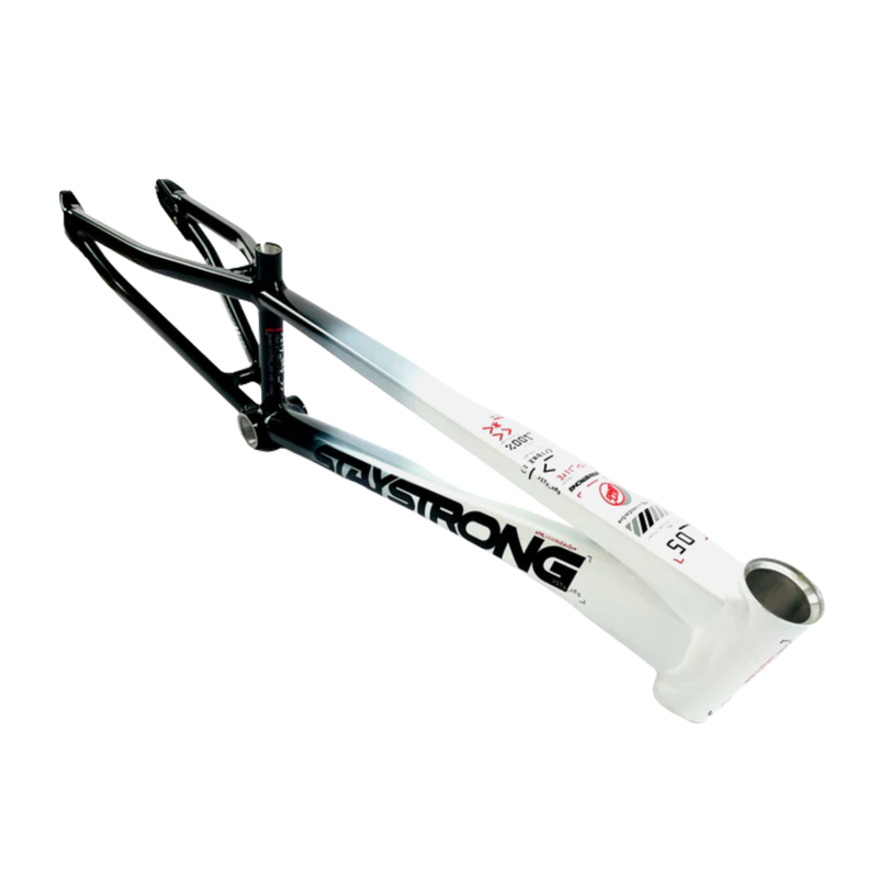 Stay Strong V5 Frames
