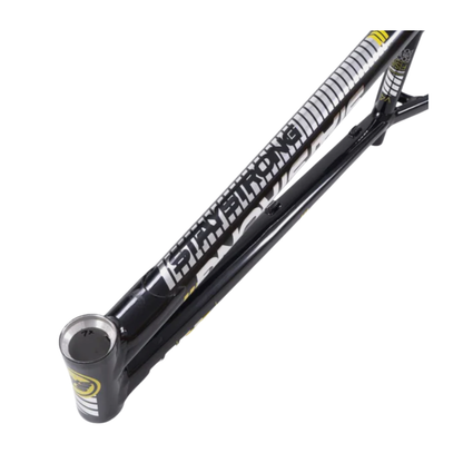 Stay Strong For Life V4 V-Brake Alloy BMX Race Frame-Black/Silver