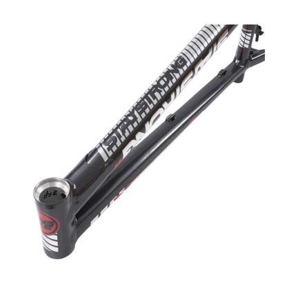 Stay Strong For Life V4 V-Break Alloy BMX Race Frame-Gray/Silver-PRO XXL