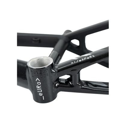 Stay Strong For Life V5 Disc Alloy BMX Race Frame-Black/Black - Mini
