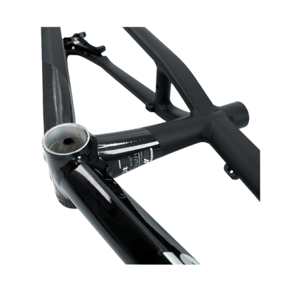Stay Strong For Life V5 Disc Alloy BMX Race Frame-Black/Black - Mini