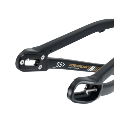 Stay Strong For Life V5 Disc Alloy BMX Race Frame-Black/Black - Mini