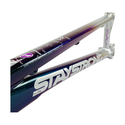 Stay Strong For Life V5 Disc Alloy BMX Race Frame - Chameleon/Silver