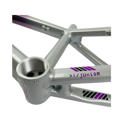 Stay Strong For Life V5 Disc Alloy BMX Race Frame - Chameleon/Silver