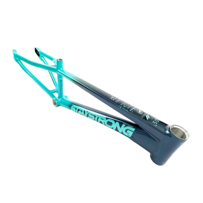 Stay Strong For Life V5 Disc Alloy BMX Race Frame - Charcoal/Mint