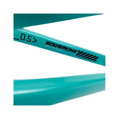 Stay Strong For Life V5 Disc Alloy BMX Race Frame - Charcoal/Mint