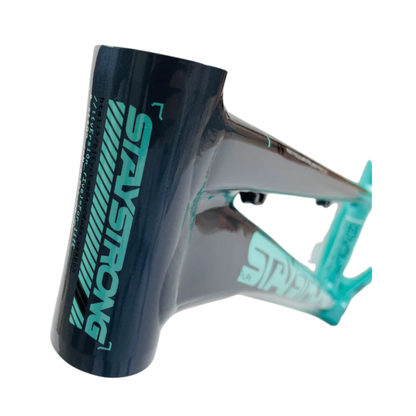 Stay Strong For Life V5 Disc Alloy BMX Race Frame - Charcoal/Mint