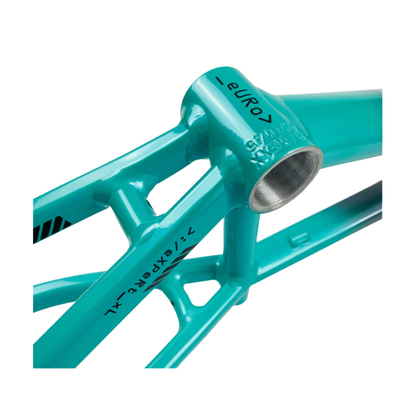 Stay Strong For Life V5 Disc Alloy BMX Race Frame - Charcoal/Mint