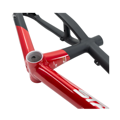 Stay Strong For Life V5 Disc Alloy BMX Race Frame - Red/Black