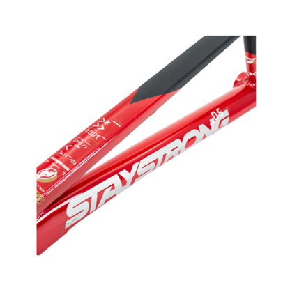Stay Strong For Life V5 Disc Alloy BMX Race Frame - Red/Black
