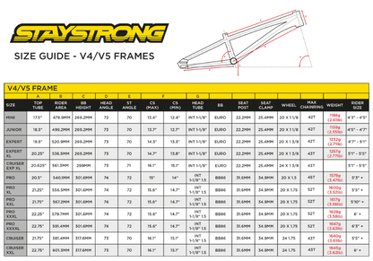 Stay Strong For Life V5 V-Brake Alloy BMX Race Frame-Black/Black - Mini