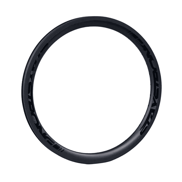 Set of Two Race DVSN Carbon - 20" - 28H Race Rims - Expert - Front and Back - Black on Black