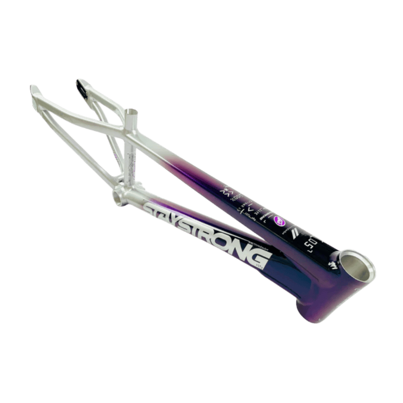 Stay Strong For Life V5 Disc Alloy BMX Race Frame - Chameleon/Silver