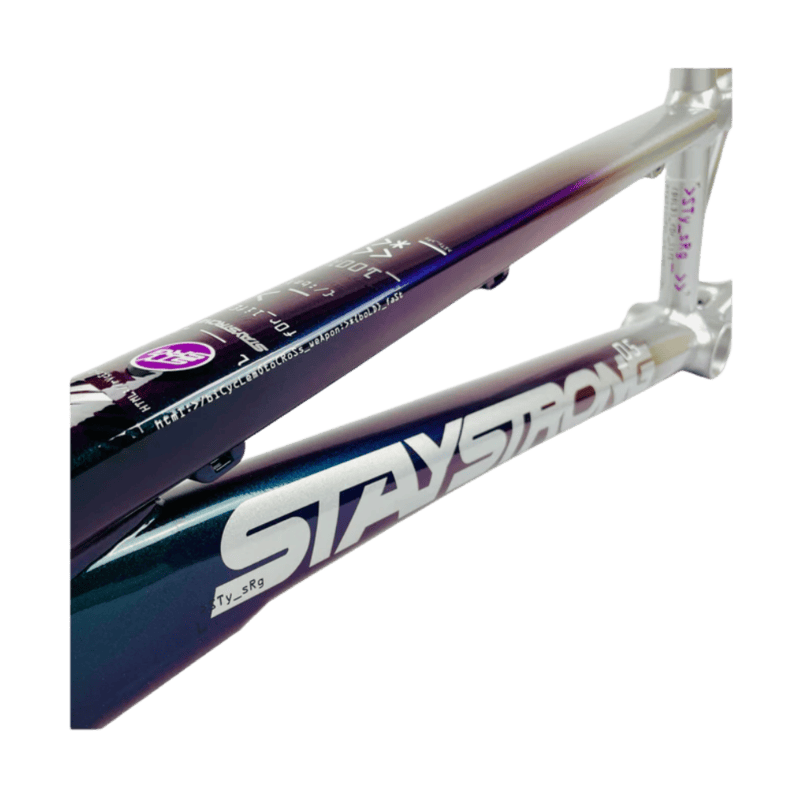Stay Strong For Life V5 Disc Alloy BMX Race Frame - Chameleon/Silver