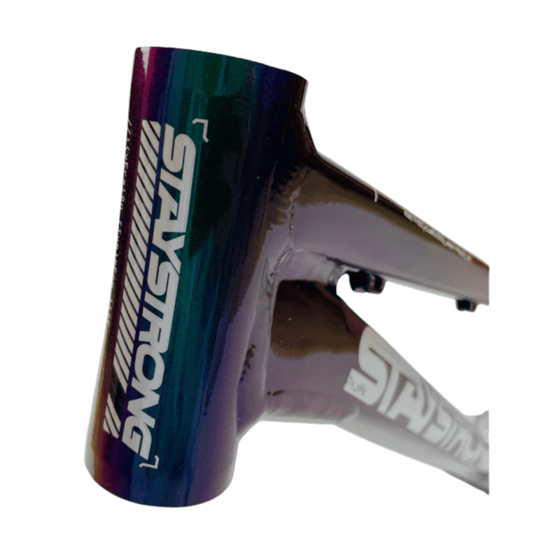 Stay Strong For Life V5 Disc Alloy BMX Race Frame - Chameleon/Silver