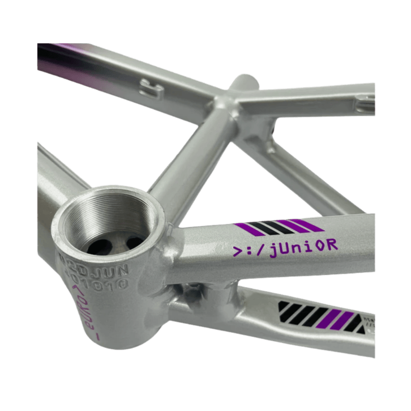 Stay Strong For Life V5 Disc Alloy BMX Race Frame - Chameleon/Silver
