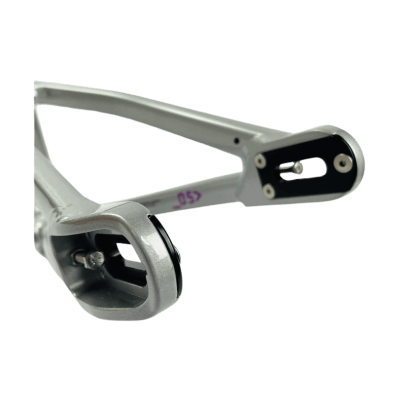 Stay Strong For Life V5 Disc Alloy BMX Race Frame - Chameleon/Silver