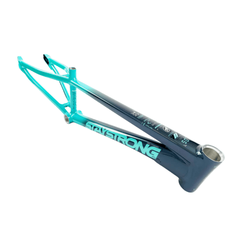 Stay Strong For Life V5 Disc Alloy BMX Race Frame - Charcoal/Mint