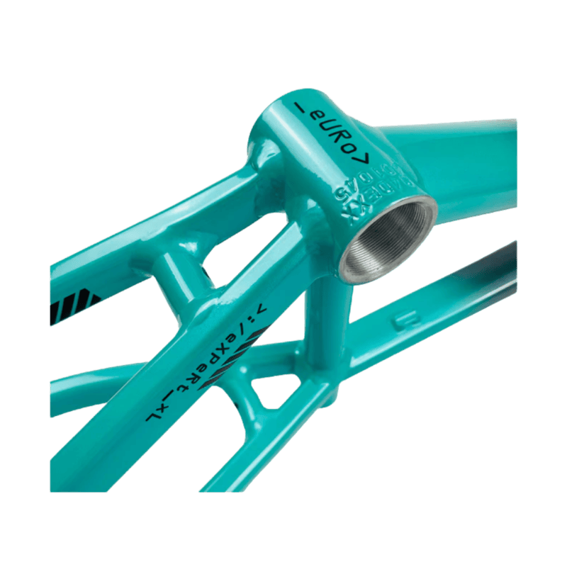 Stay Strong For Life V5 Disc Alloy BMX Race Frame - Charcoal/Mint