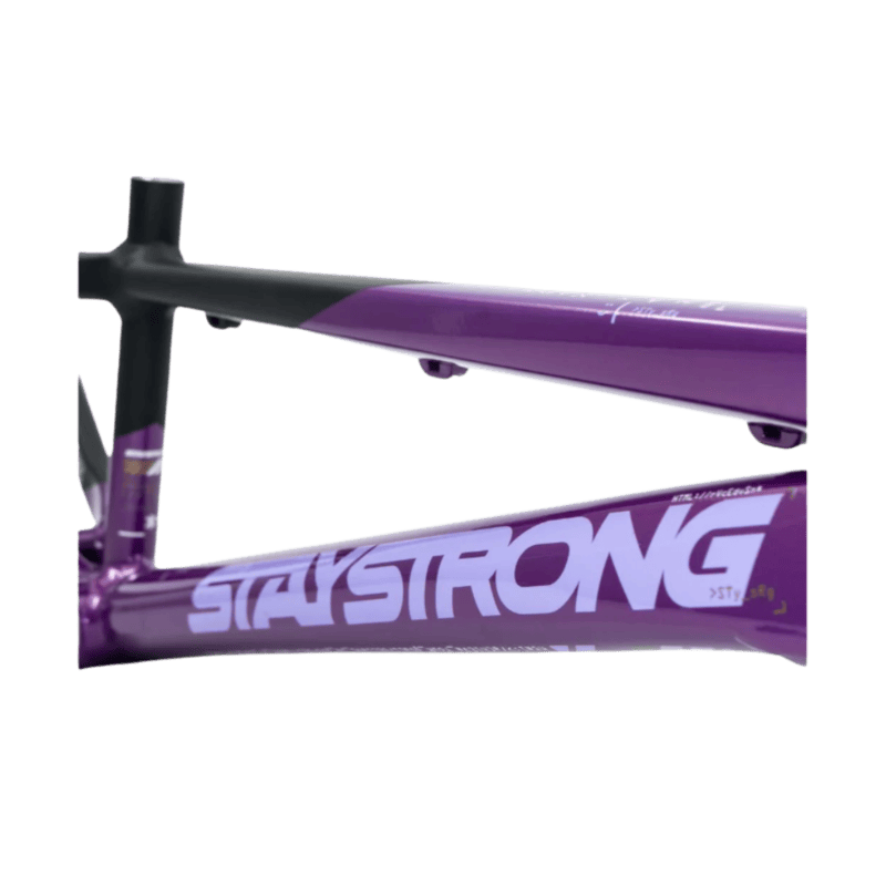 Stay Strong For Life V5 Disc Alloy BMX Race Frame - Purple/Black