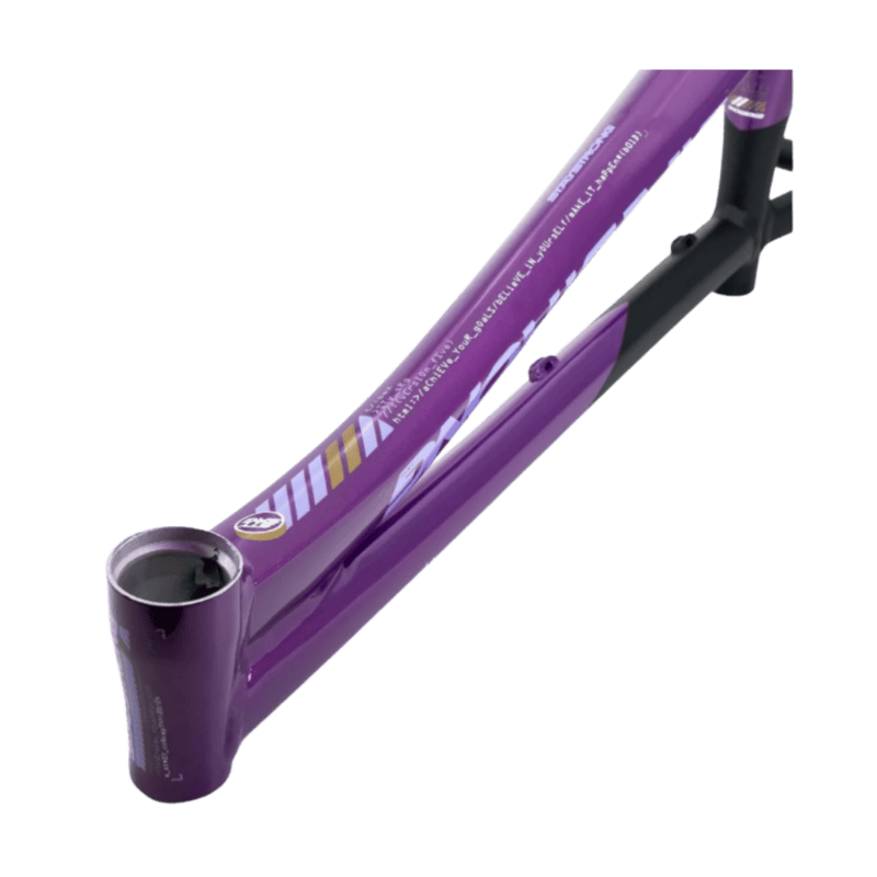 Stay Strong For Life V5 Disc Alloy BMX Race Frame - Purple/Black