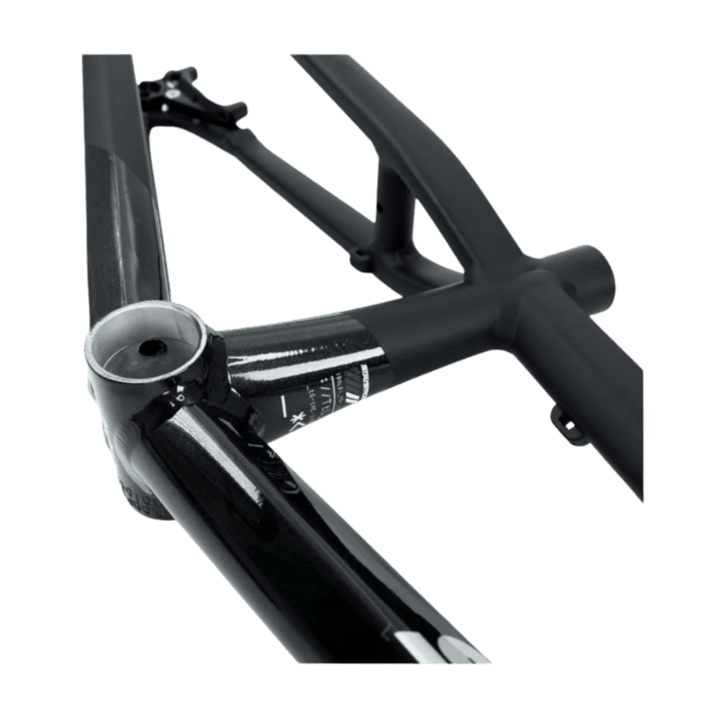 Stay Strong For Life V5 Disc Alloy BMX Race Frame-Black/Black - Mini