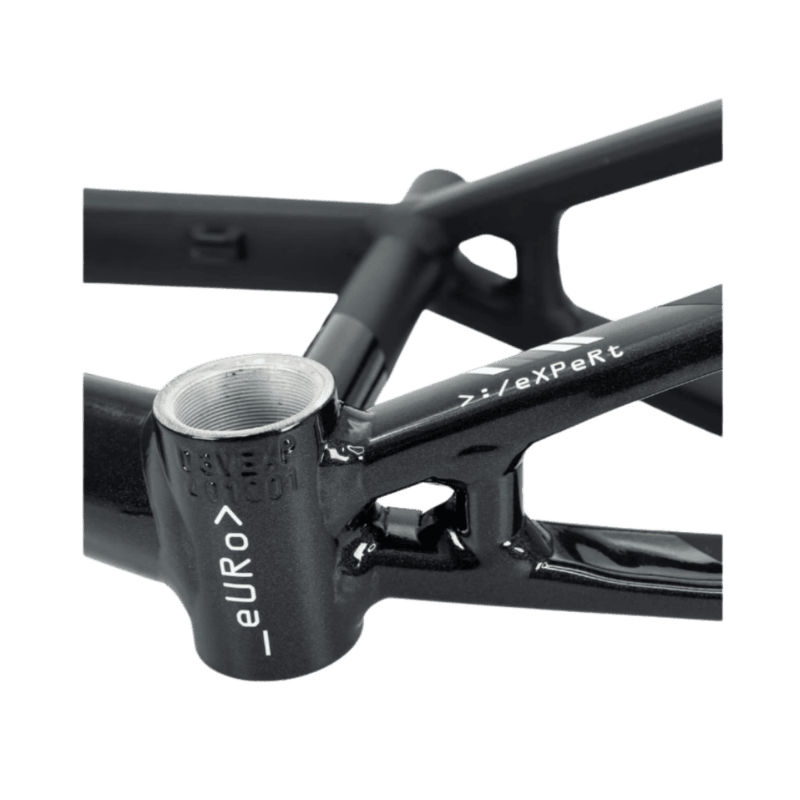 Stay Strong For Life V5 Disc Alloy BMX Race Frame-Black/Black - Mini