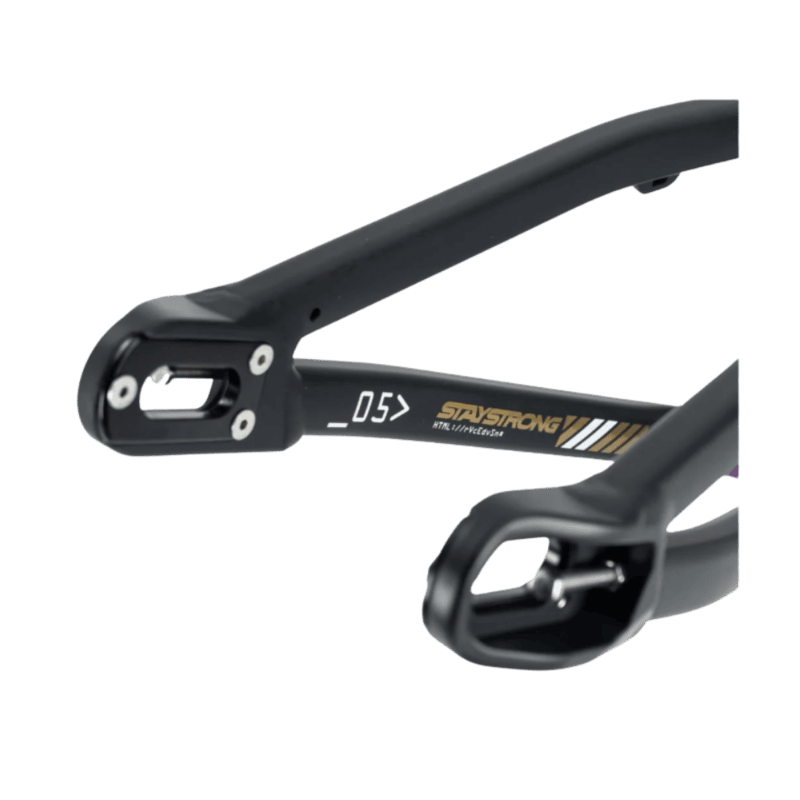 Stay Strong For Life V5 Disc Alloy BMX Race Frame-Black/Black - Mini