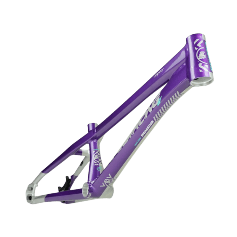 Stay Strong For Life V5.1 Disc Alloy BMX Race Frame - Purple/Silver
