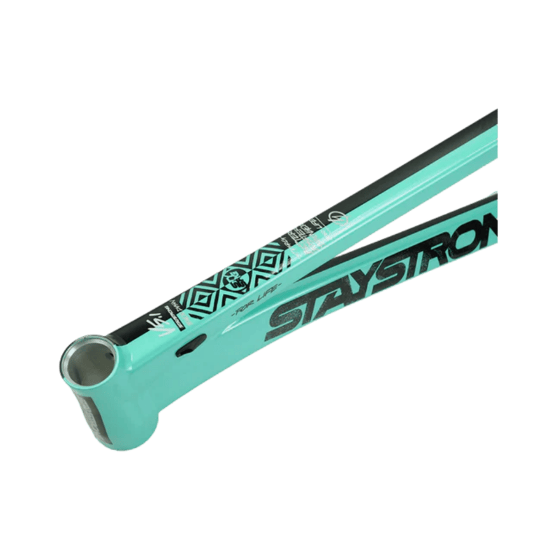 Stay Strong For Life V5.1 Disc Alloy BMX Race Frame - Tiffany/Black